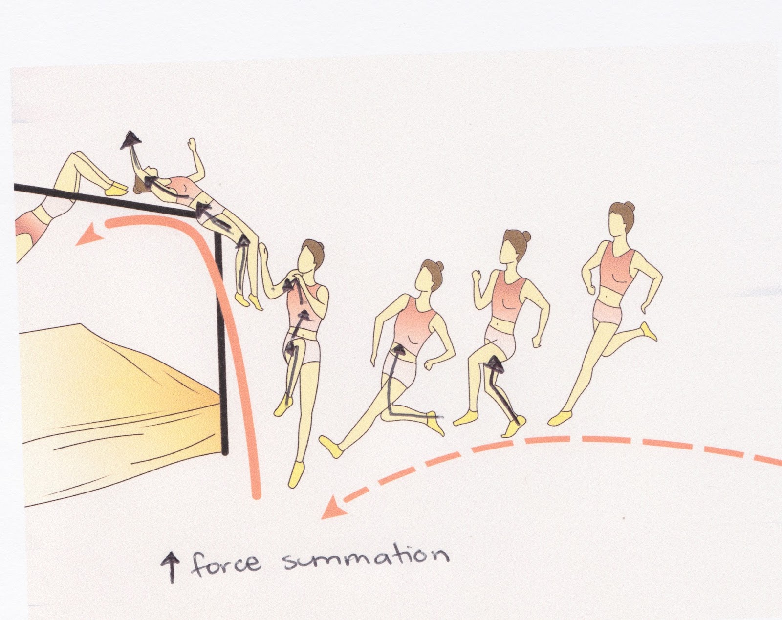 The Optimal Biomechanics To Achieve Maximum Height in High Jump What