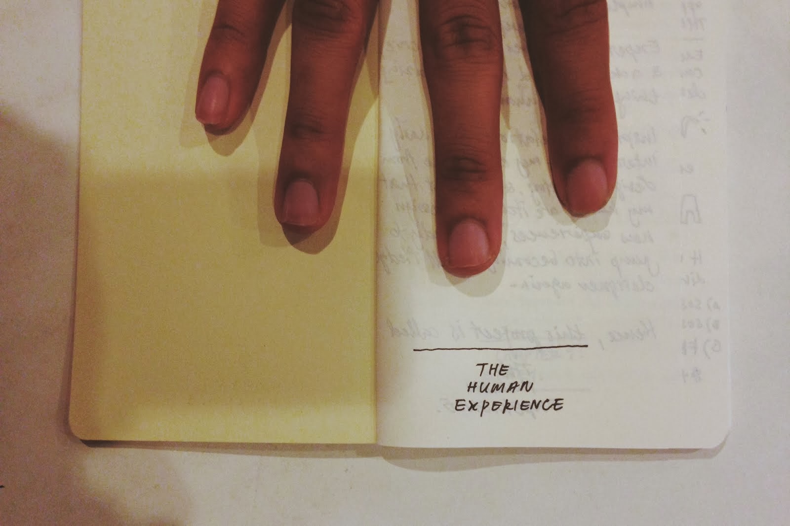 The Human Experience Header