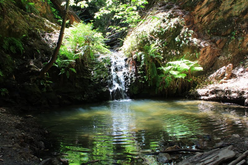 Eye On The View Portola Redwoods State Park Tiptoe Falls