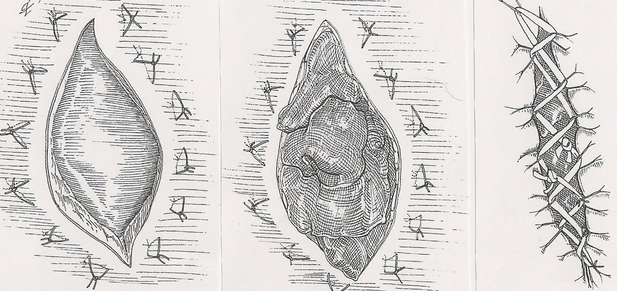 Veterinary Key Points TieOver Bandage The greatest thing for open