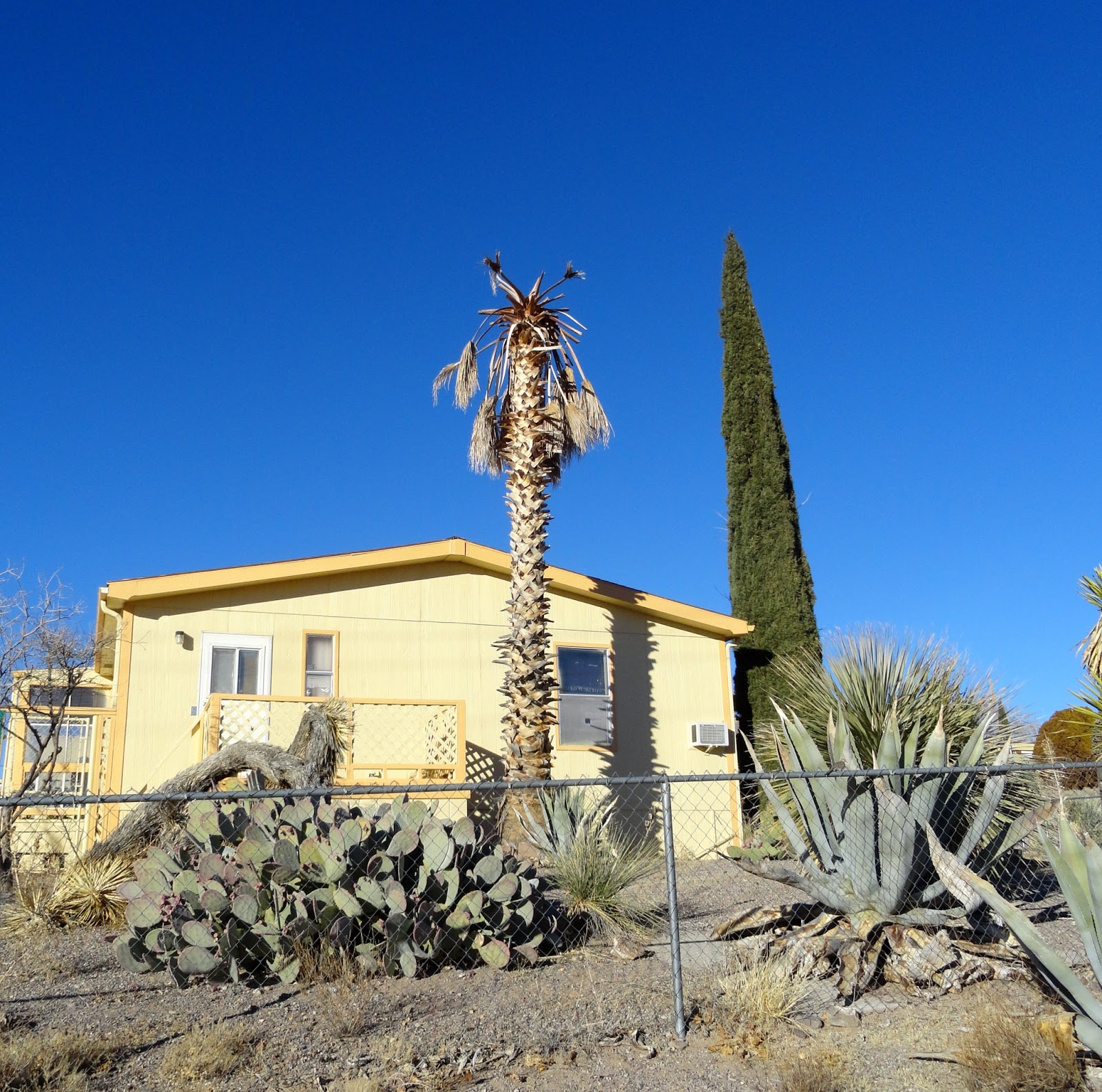 danger garden A few driveby’s in T or C, New Mexico...