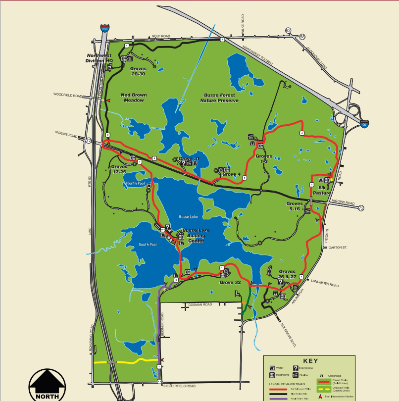 Winding Paths Biking through the Busse Woods!