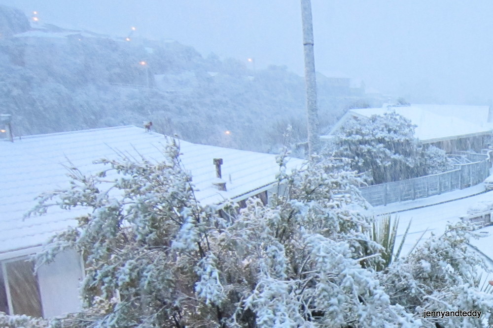 snow in wellington