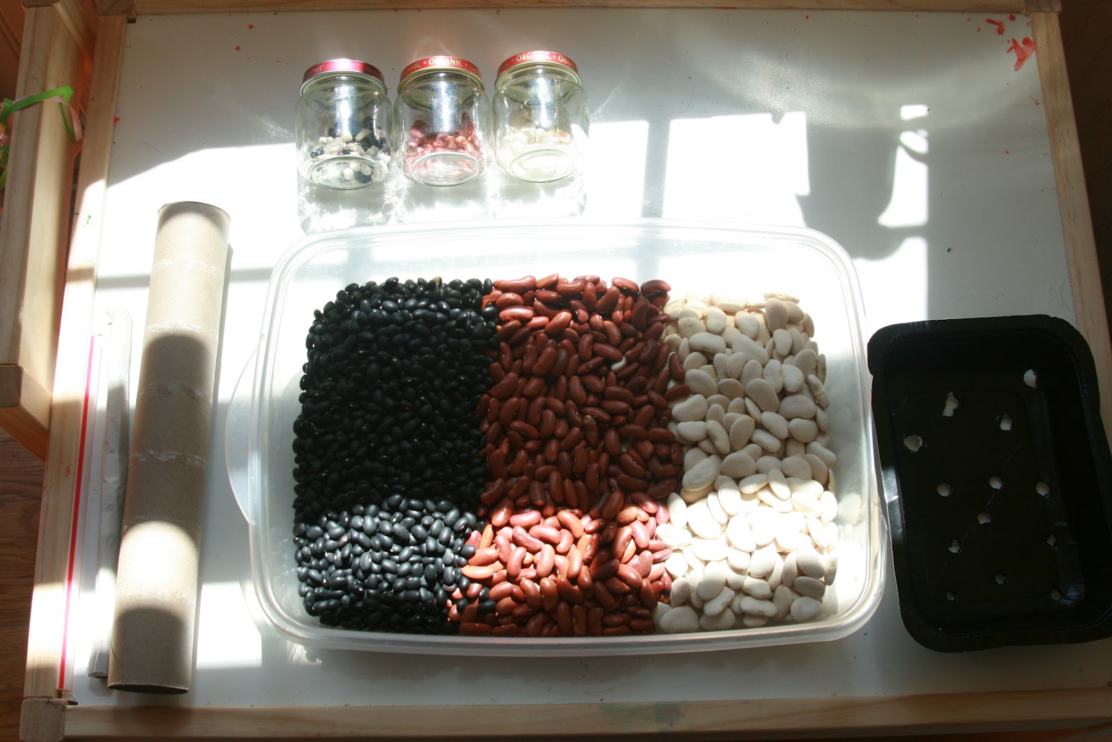 Learn, Baby, Learn! Sensory Table Beans!