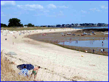 La Grande Plage de " La Falaise"