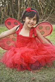 ladybug costume diy