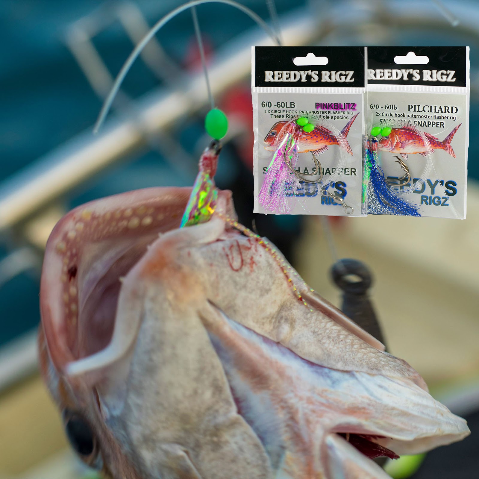 fishing bait hook setup Texas rig this is my favorite of all of these rigs to fish it has been my most productive way to catch fish partially, because there are a ton of options that this rig offers the angler weight, hook, lure and presentation are all fluid when it comes to the texas rig traditionally, there is a bullet weight (tungsten or. fishing bait hook setup Texas rig this is my favorite of all of these rigs to fish it has been my most productive way to catch fish partially, because there are a ton of options that this rig offers the angler weight, hook, lure and presentation are all fluid when it comes to the texas rig traditionally, there is a bullet weight (tungsten or.