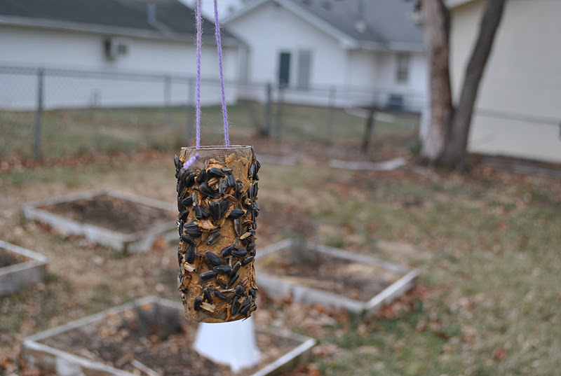 The Iowa Farmer's Wife Feeding the Birds?