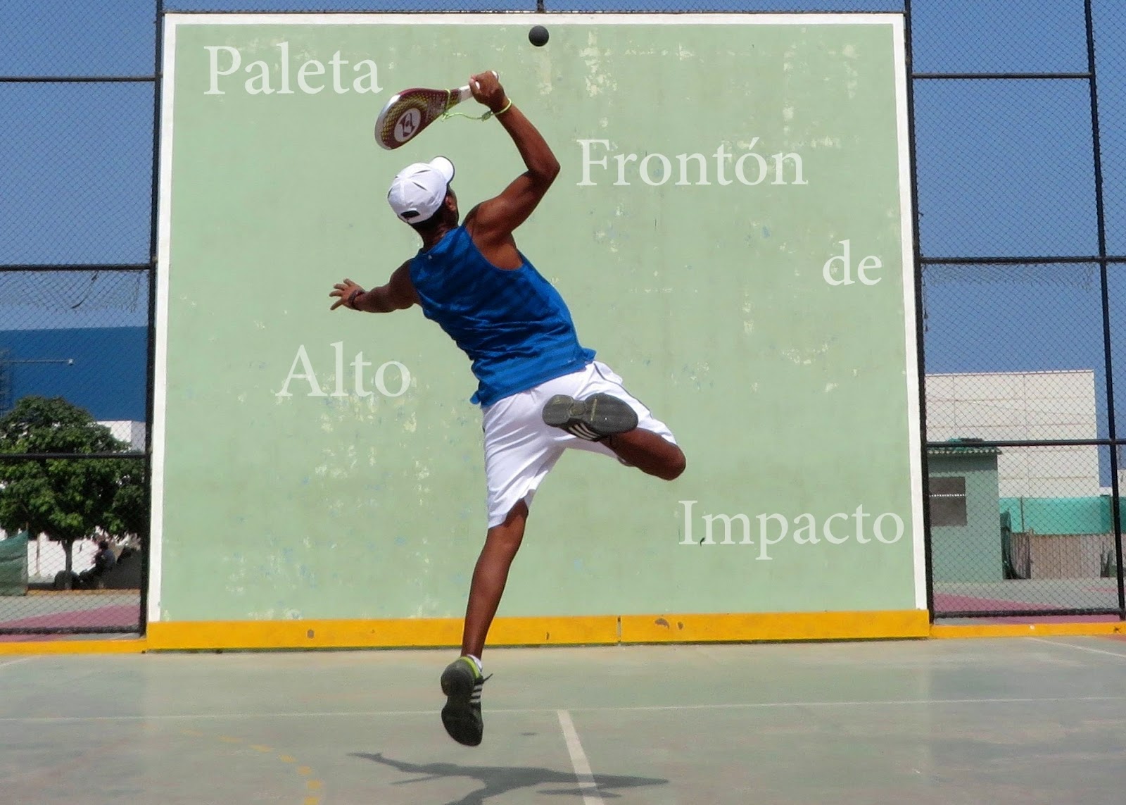 Paleta Frontón de Alto Impacto agosto 2015 Armario Odontologico Com Pia ~ Paleta Frontón de Alto Impacto agosto 2015