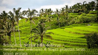 Puisi Tentang Kerinduan Pada Kampung Halaman Puisi Tentang Kerinduan Pada Kampung Halaman