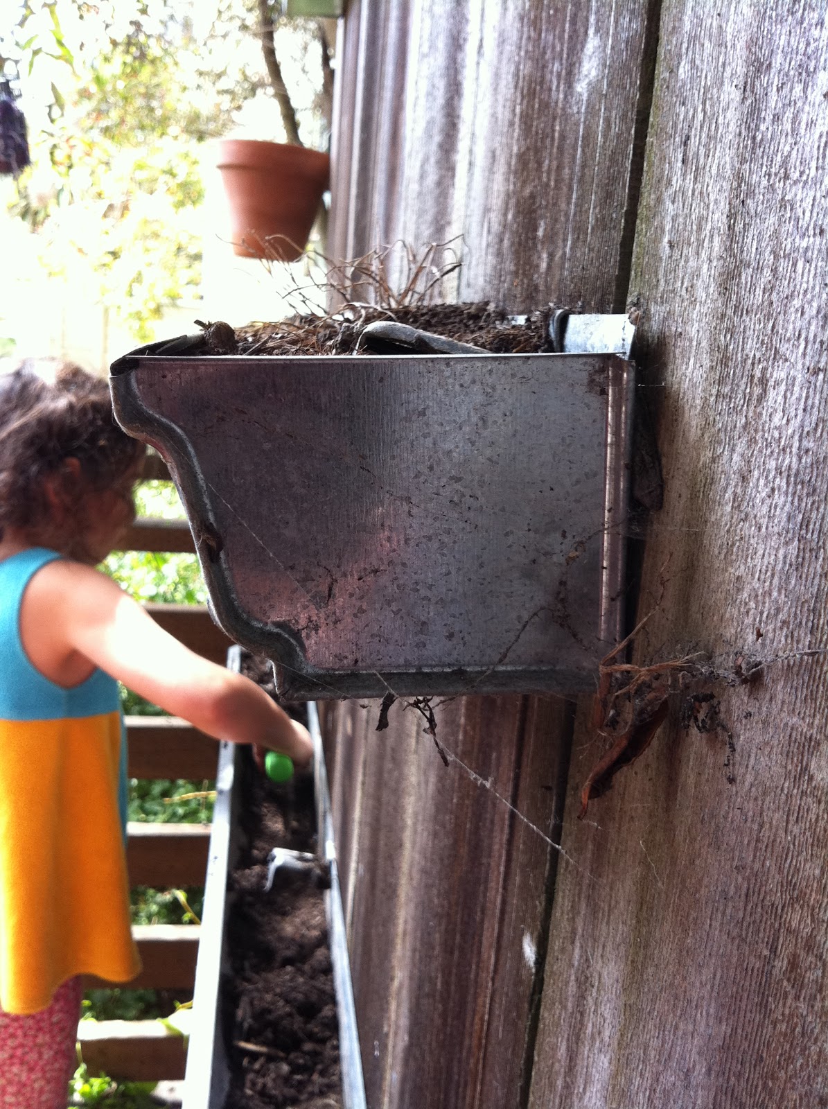 corner blog: how to build a gutter garden