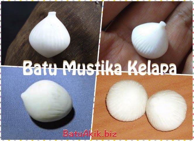 Batu Mustika Kelapa Batu Mustika Kelapa