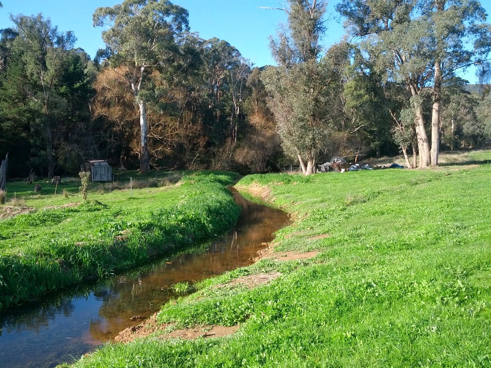 Swale connected to the second dam (just in the trees)