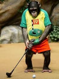 Scimmia che gioca a golf