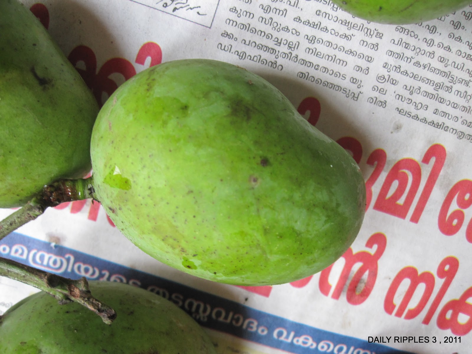 properties of mango has been Aug and chandrakaran, exotic types such