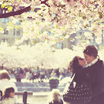 Quiero hacer contigo, lo que la primavera hace con los cerezos