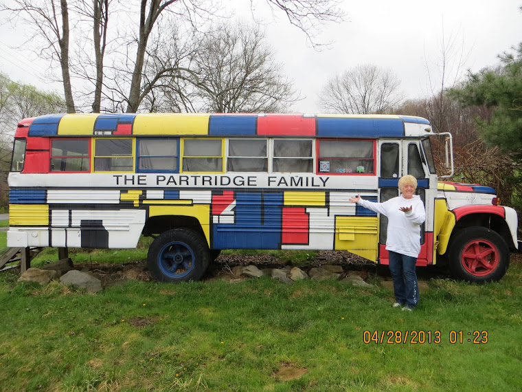 Sisaroo Archer happier than hell to finally find the Partridge Family Bus.