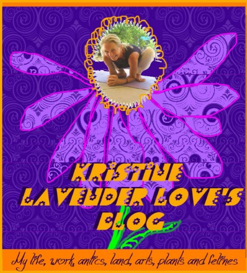 Kristine Lavender Love's Blog