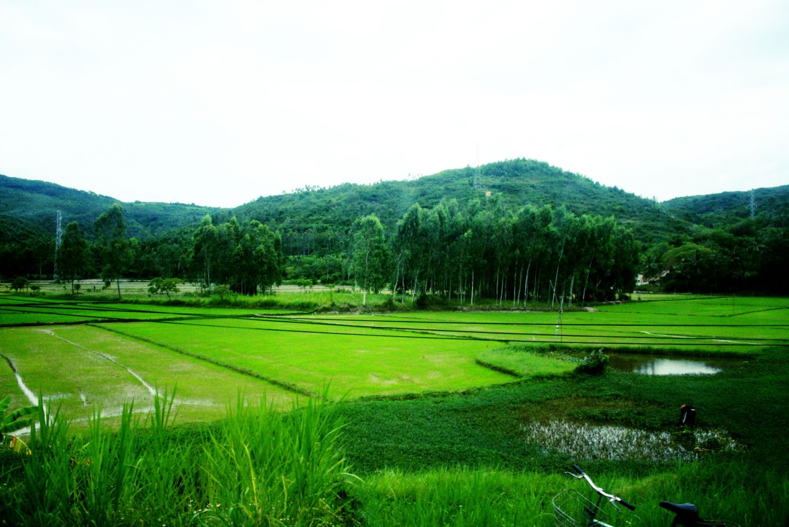 [Image: IMG_5818.JPG]