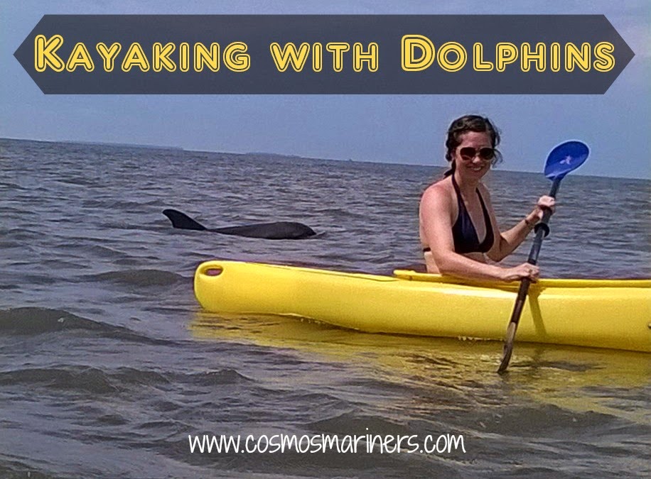 Kayaking with Dolphins Cosmos Mariners Destination Unknown