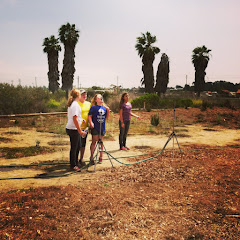 Los Cerritos Wetlands