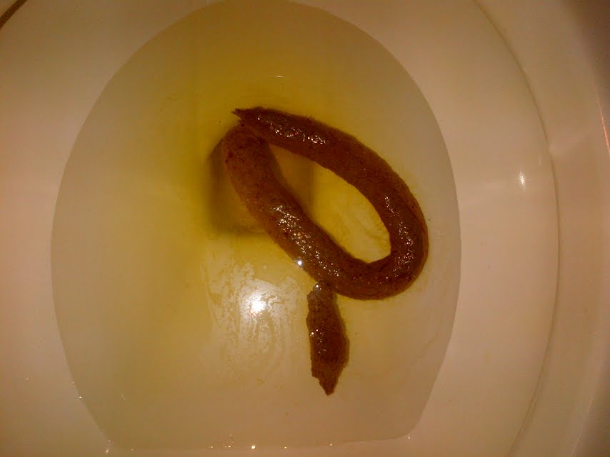 fat log