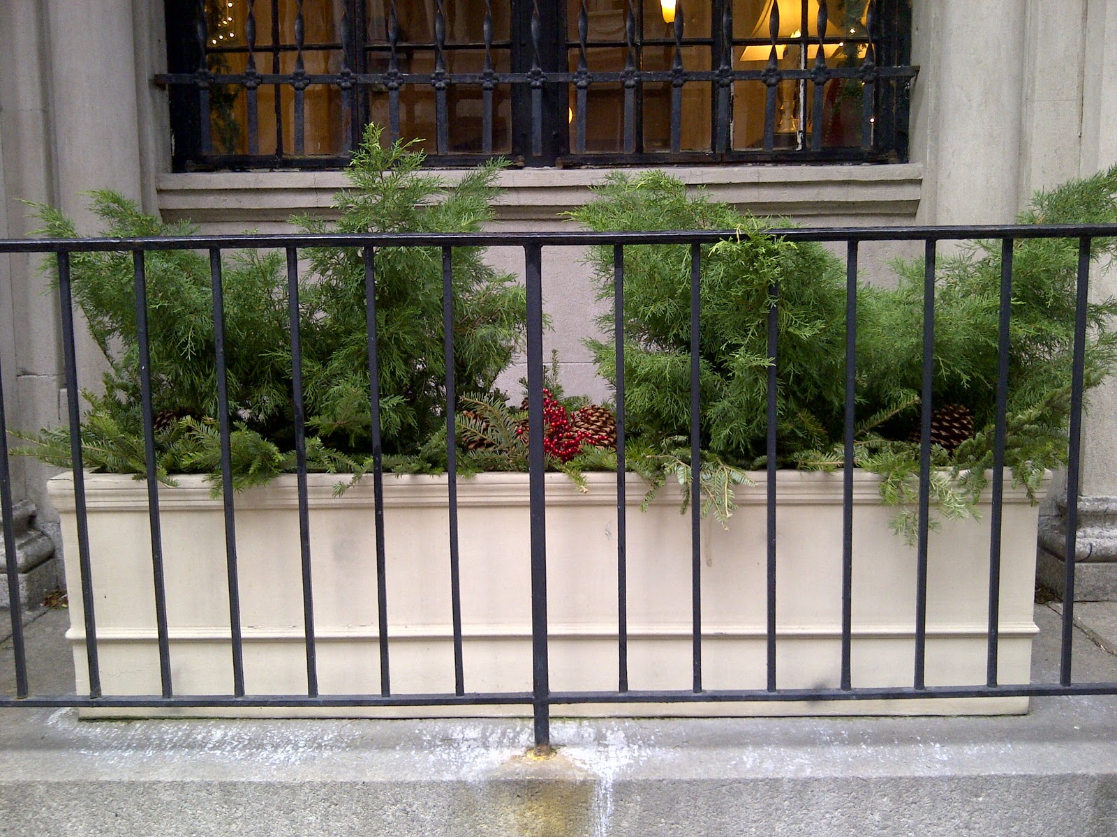 Bucolic Manor: Winter Flower Boxes
