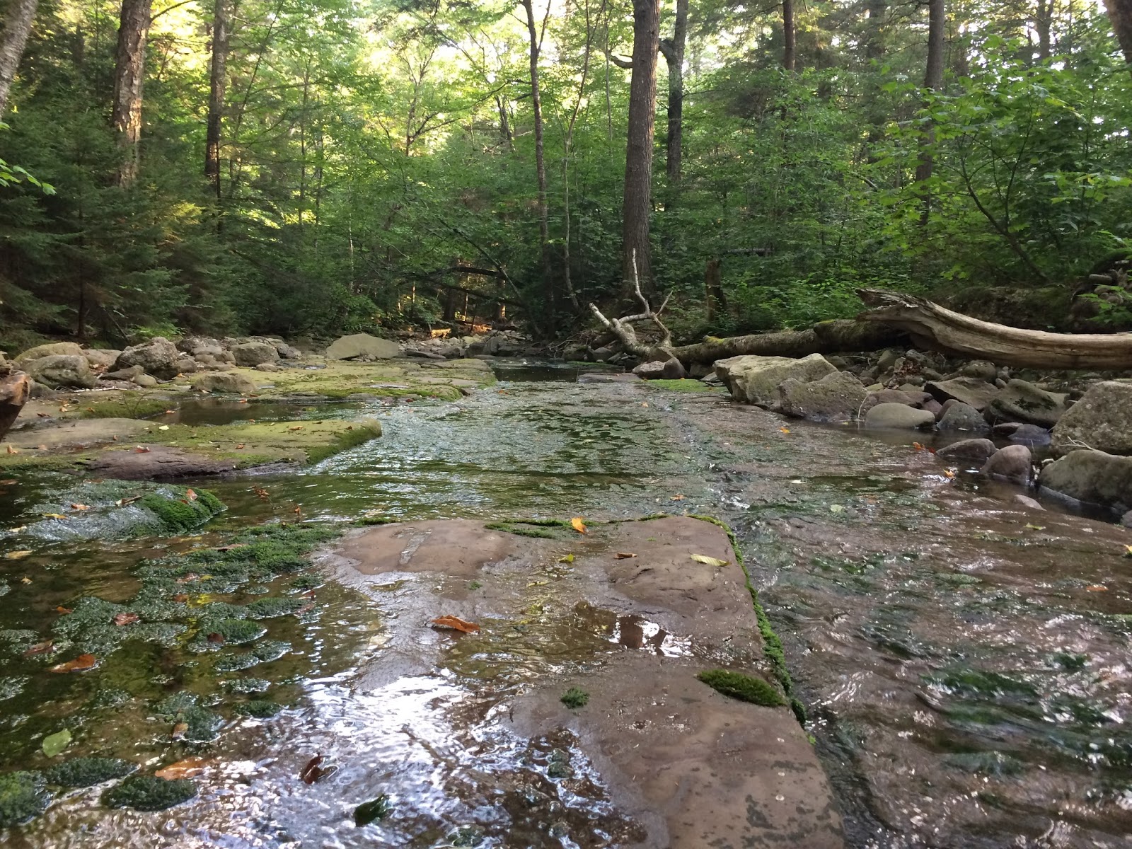 NJ/NY Hikes Catskills East Branch Neversink River