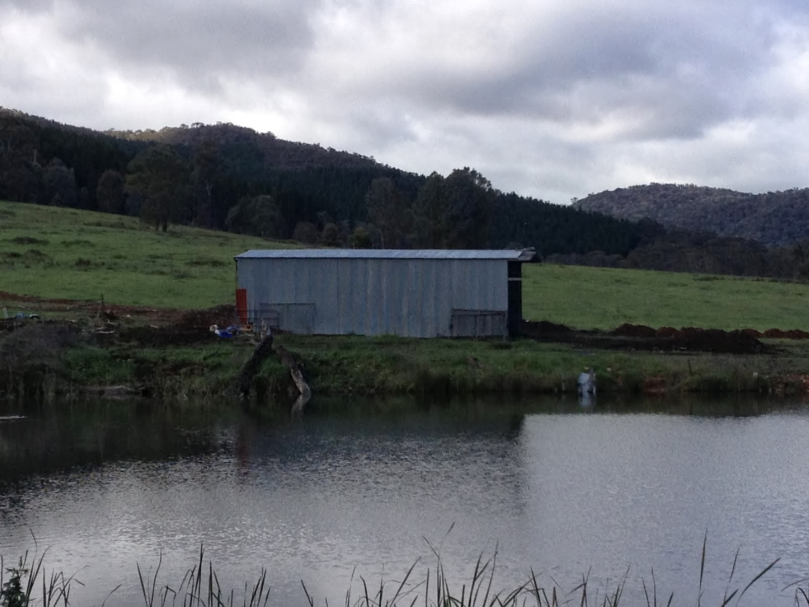 The earthworks begin, starting with ripping out the shed