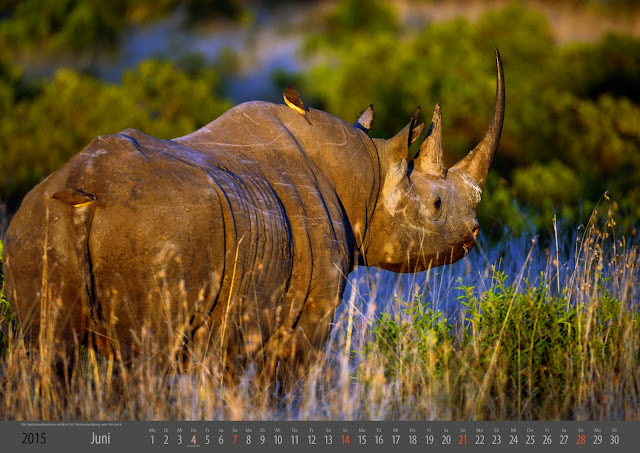 Kalender, Wandkalender, Kundenkalender, Kalenderdruck, Kalenderproduktion, Fotografie Fotoretuschen, Photoshop, Indesign, Adobe, Druckvorstufe, Digitaldruck, Bildbearbeitung, Afrika Kalender, Uwe Skrzypczak