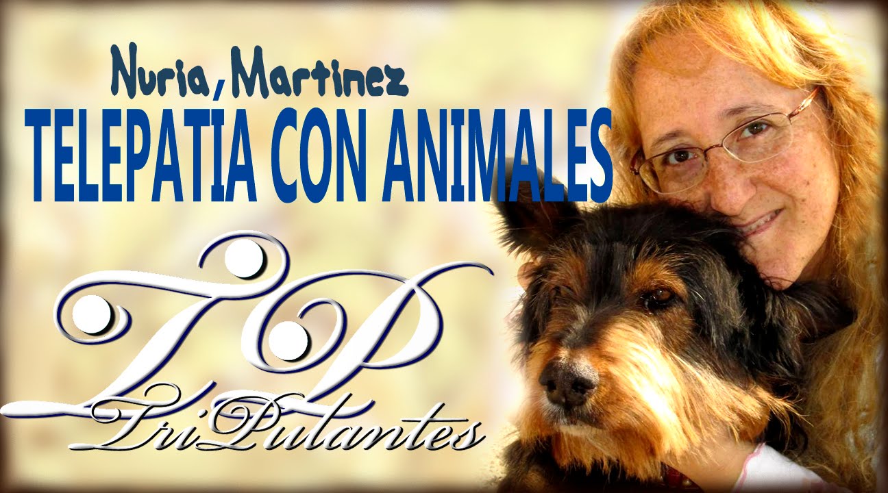 Telepatía con animales y comunicación después de la muerte