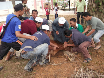 PENYEMBELIHAN YANG TERATUR