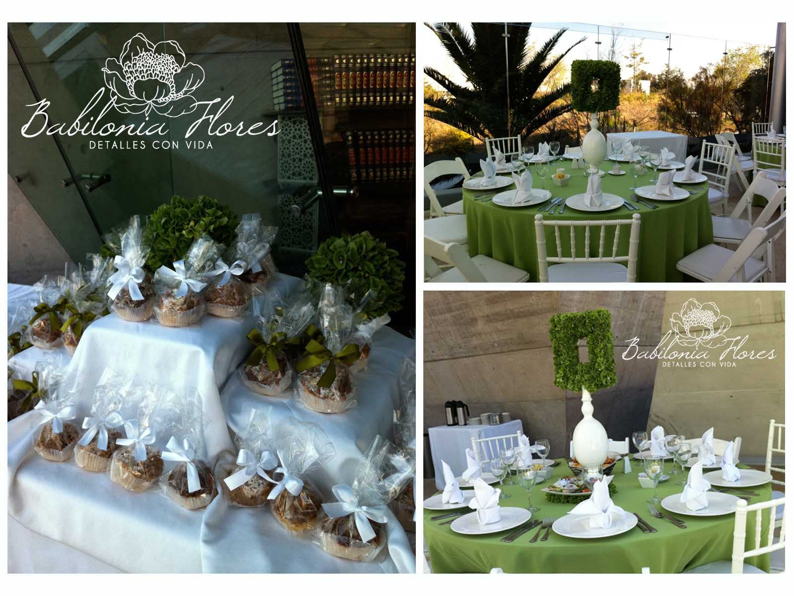 BABILONIA FLORES Un Brit Milá particular...