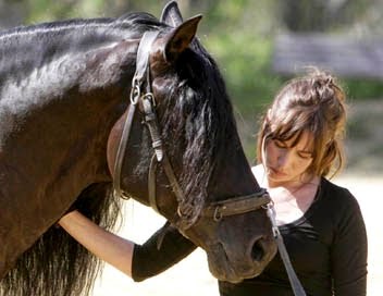 rencontre homme aimant chevaux