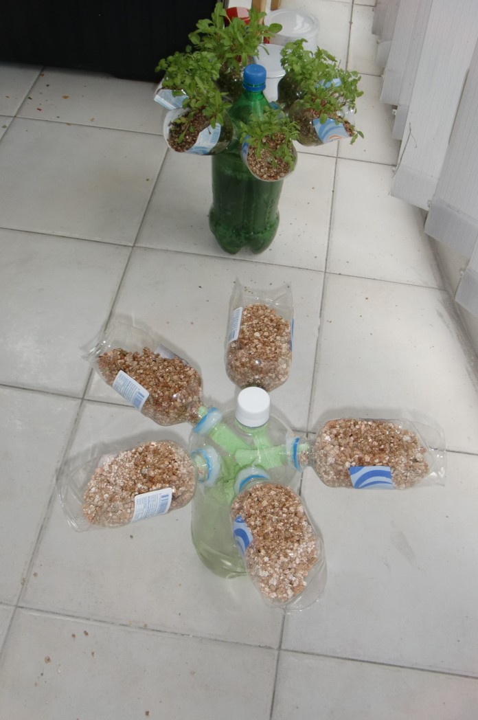 Urban Green Survival Bottle Garden