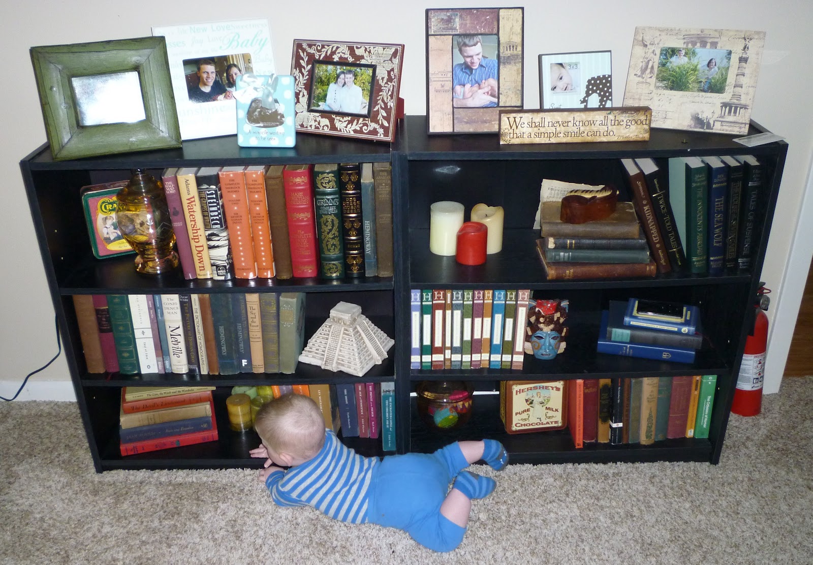 Proverbs and Pacifiers Baby Proofing the Bookshelf