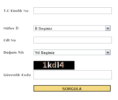 e sorgulama sifresiz tc kimlik no ile 4a emekli aylik bilgisi sorgulama