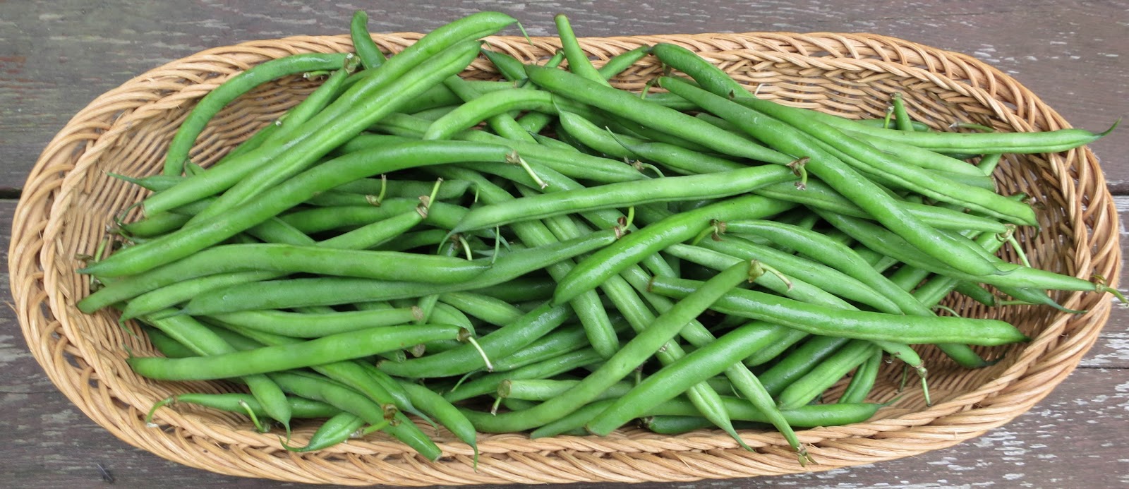 voltaire's garden Green Bean Plenty