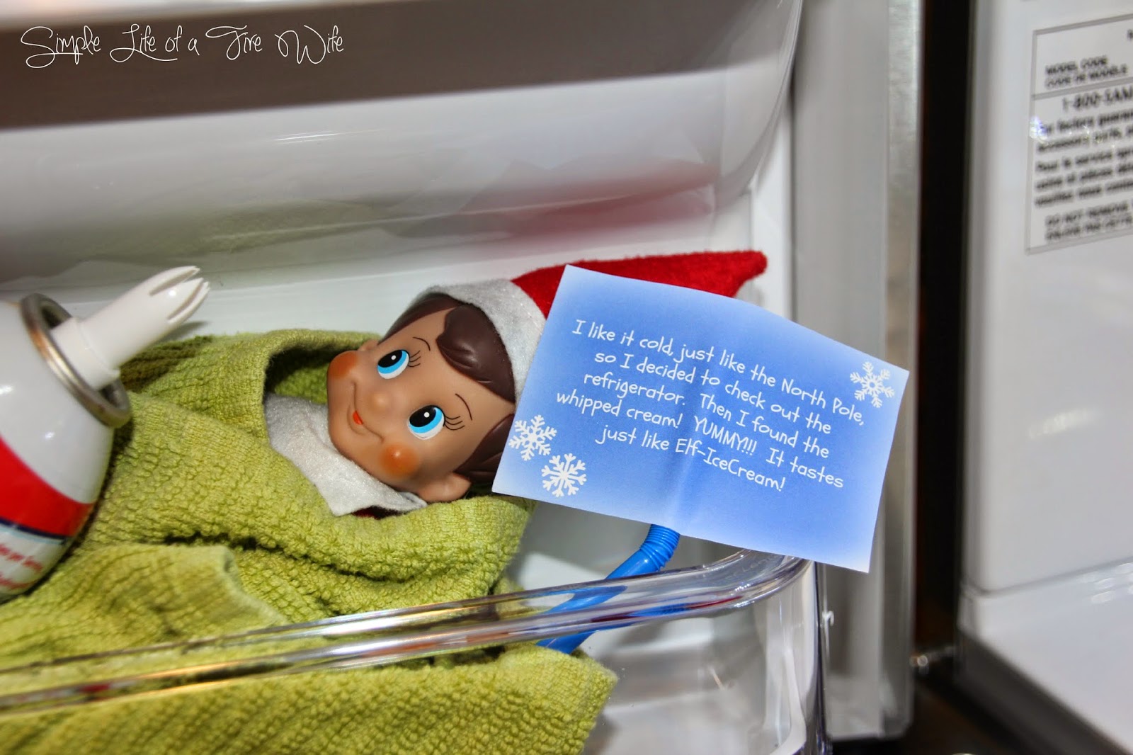 Life on Oak Hill Elf on the Shelf Hiding in the Fridge