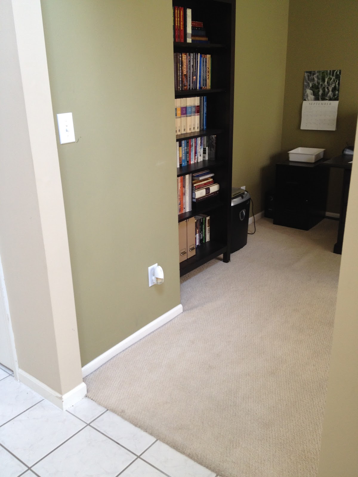 The DIY Guinea Pig Air Freshener