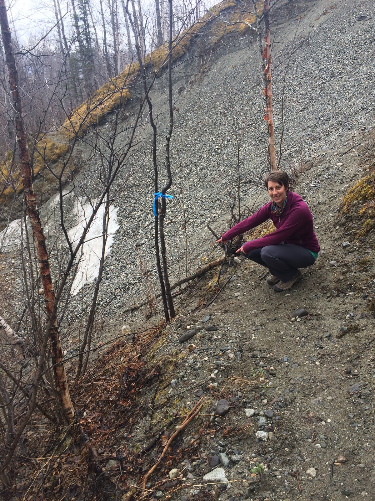 PalmerMoose Creek Railroad trail
