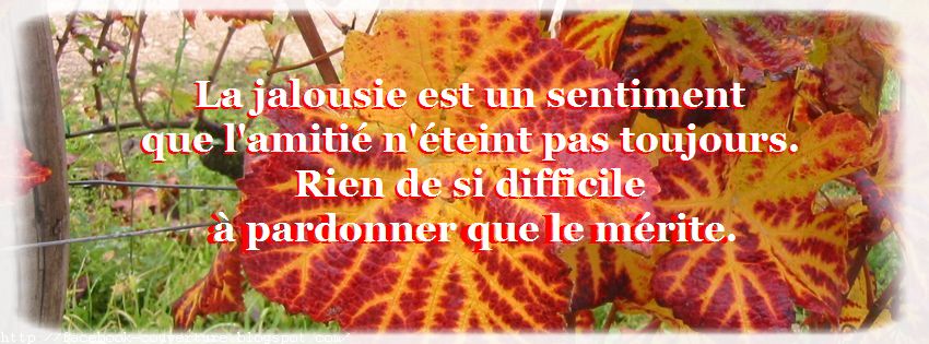 Poeme Amour Poesie Et Citations Citation Sur La Jalousie D Amitie