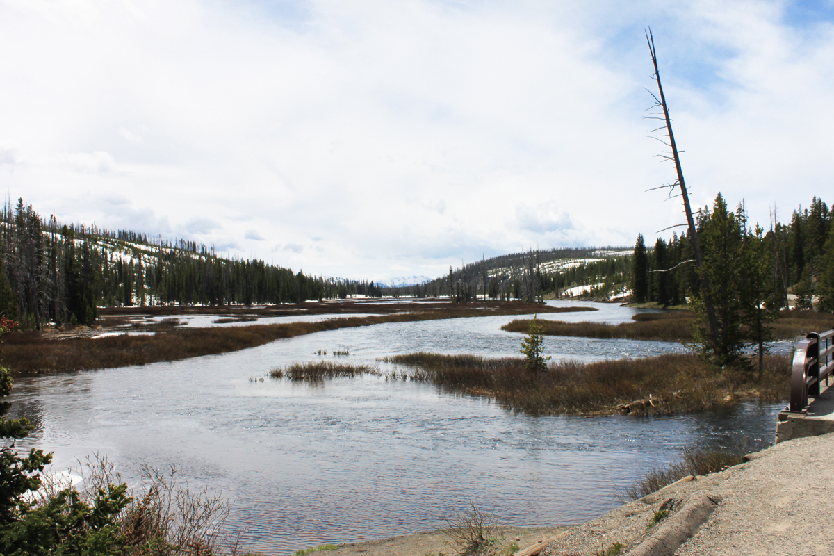 my travels, my thoughts, my photos Lewis Lake and Lewis Falls