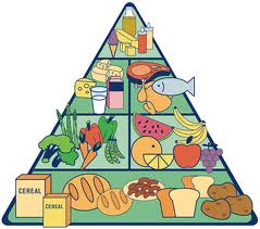 8. La pirámide alimenticia