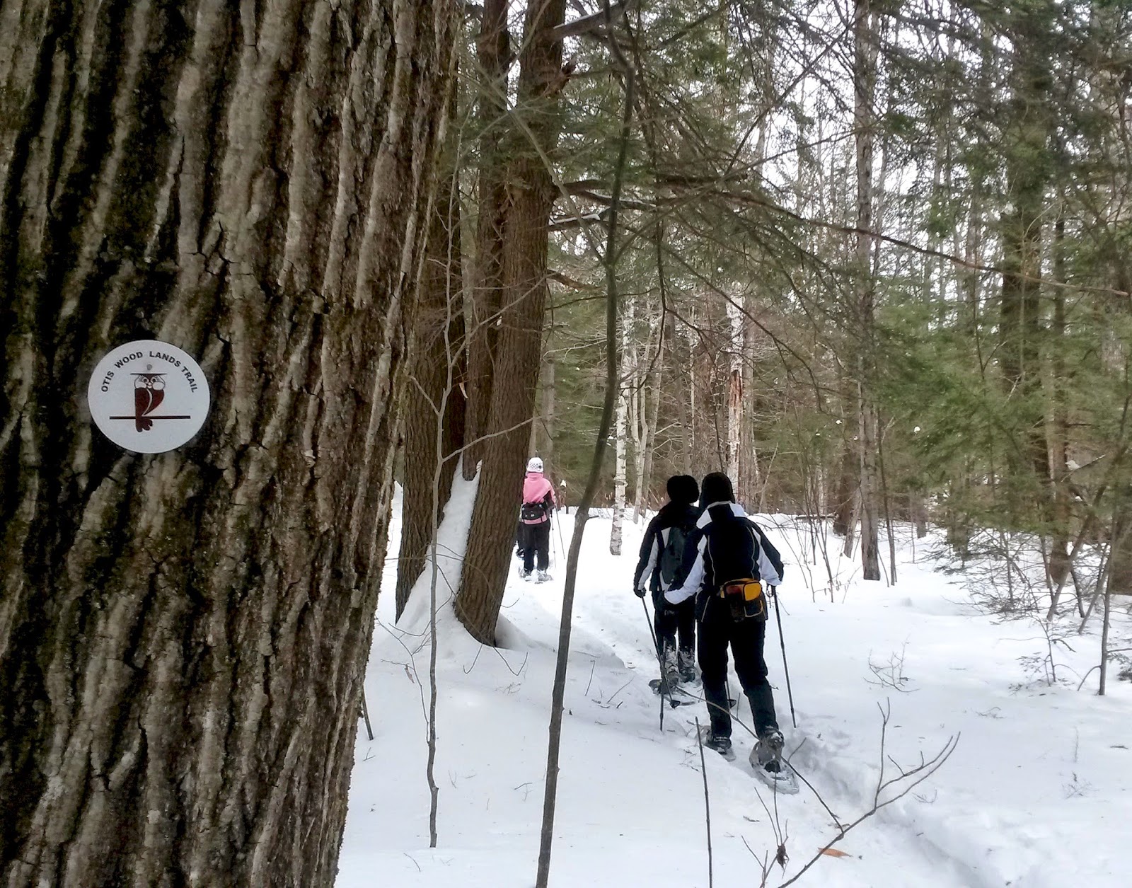 Berkshire Hiker Private Trails at Otis Woodlands, Otis