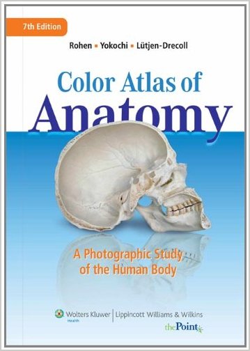 Учебник Бесплатно Anatomy And Physiology Of Human