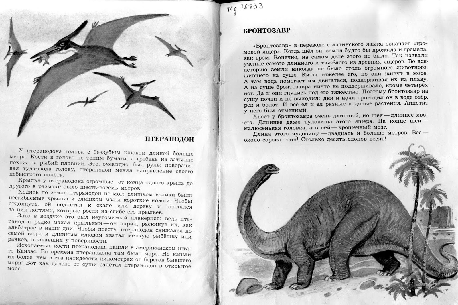 Скачать книгу акимушкина когда крокодилы летали Скачать книгу акимушкина когда крокодилы летали