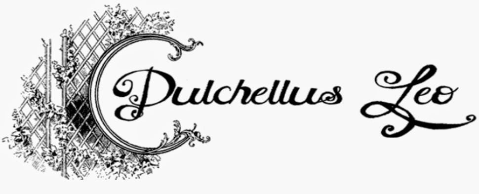 Pulchellus Leo