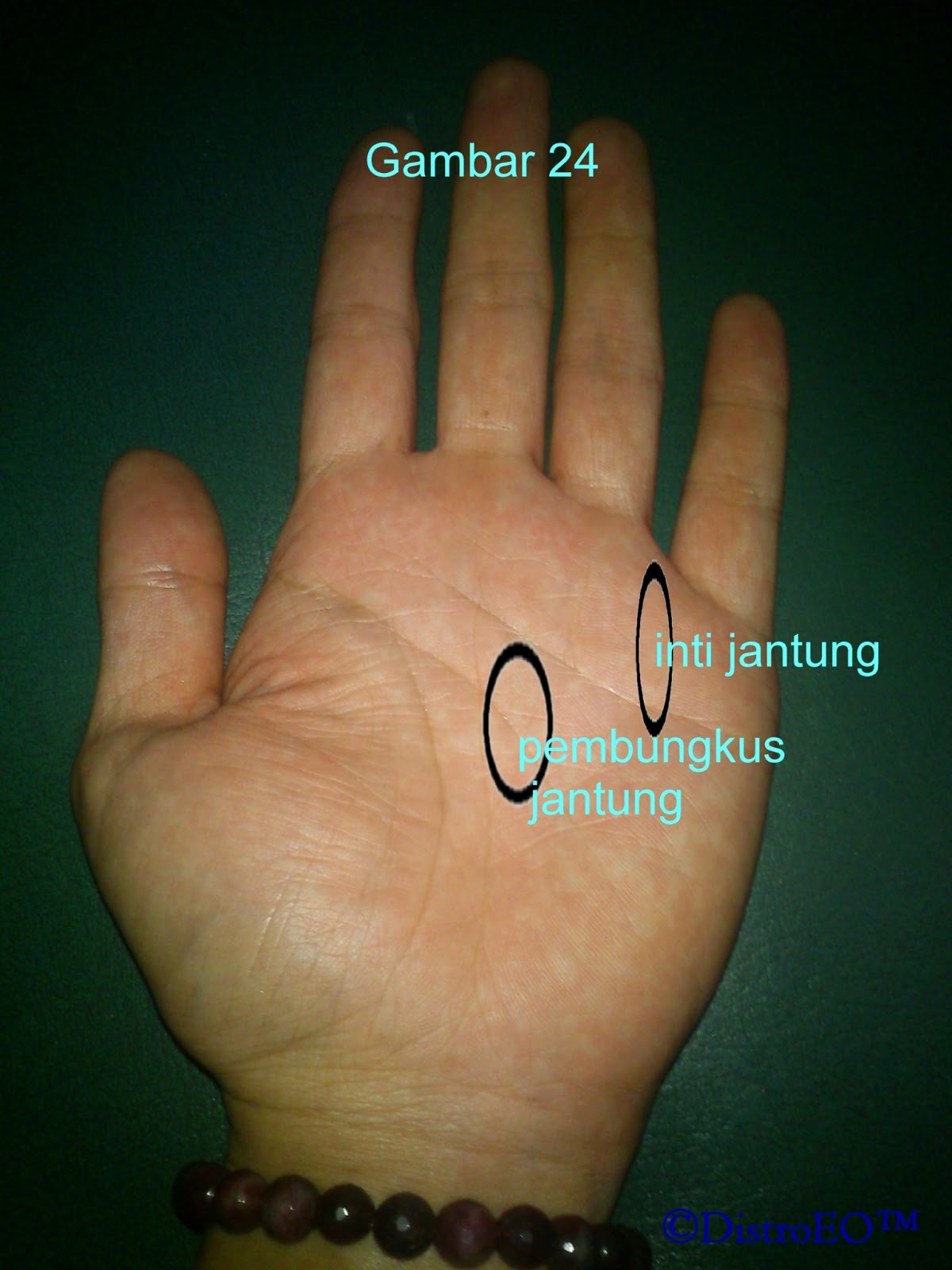 Titik Telapak Tangan (3T) dan manfaatnya Orgonite 3T 