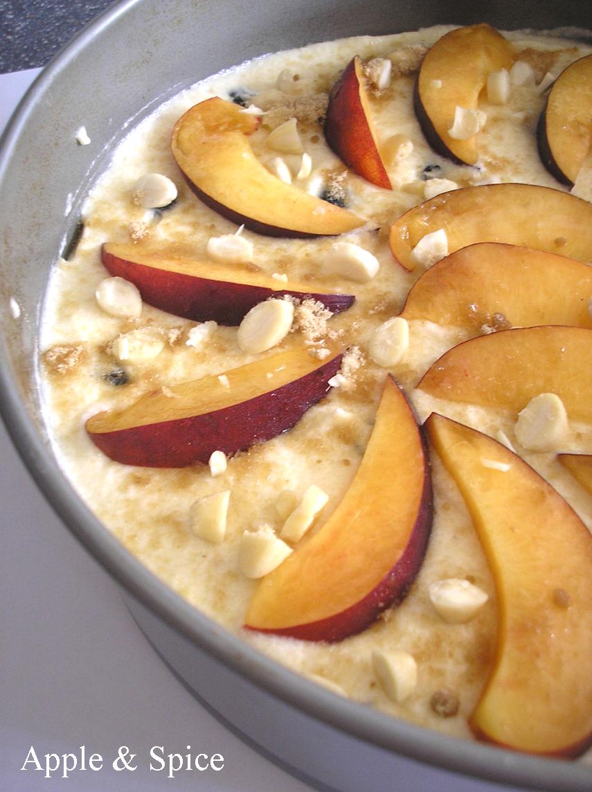 Apple & Spice Blueberry & Nectarine Yoghurt Cake